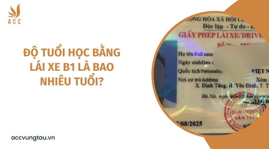 Độ tuổi học bằng lái xe B1 là bao nhiêu tuổi?