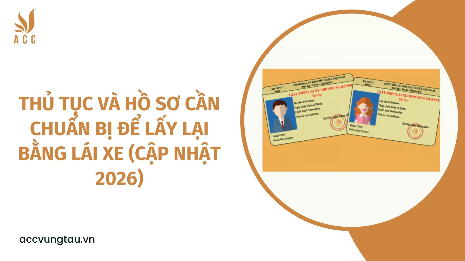 Thủ tục và hồ sơ cần chuẩn bị để lấy lại bằng lái xe (Cập nhật 2026)