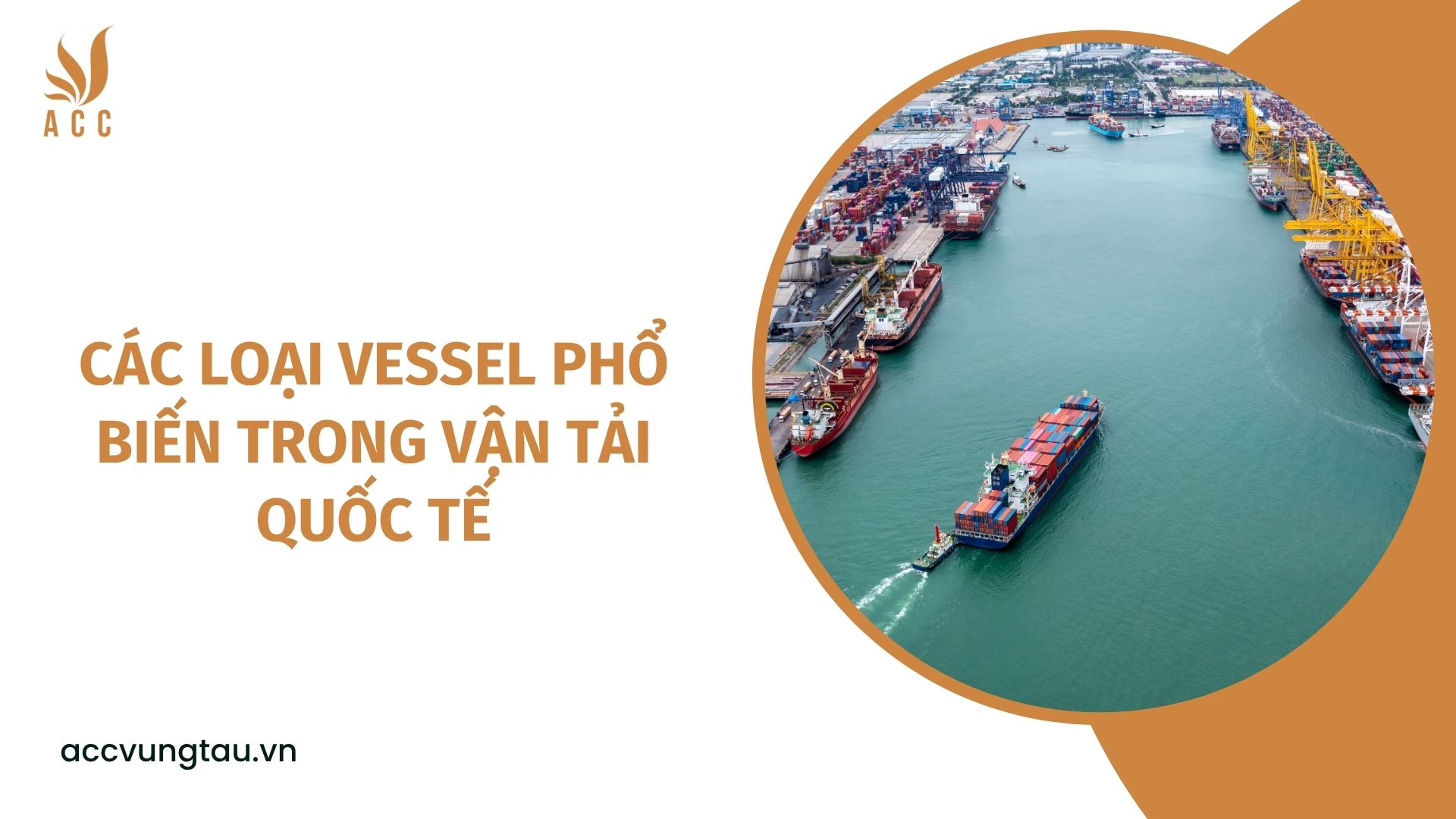 Các loại Vessel phổ biến trong vận tải quốc tế
