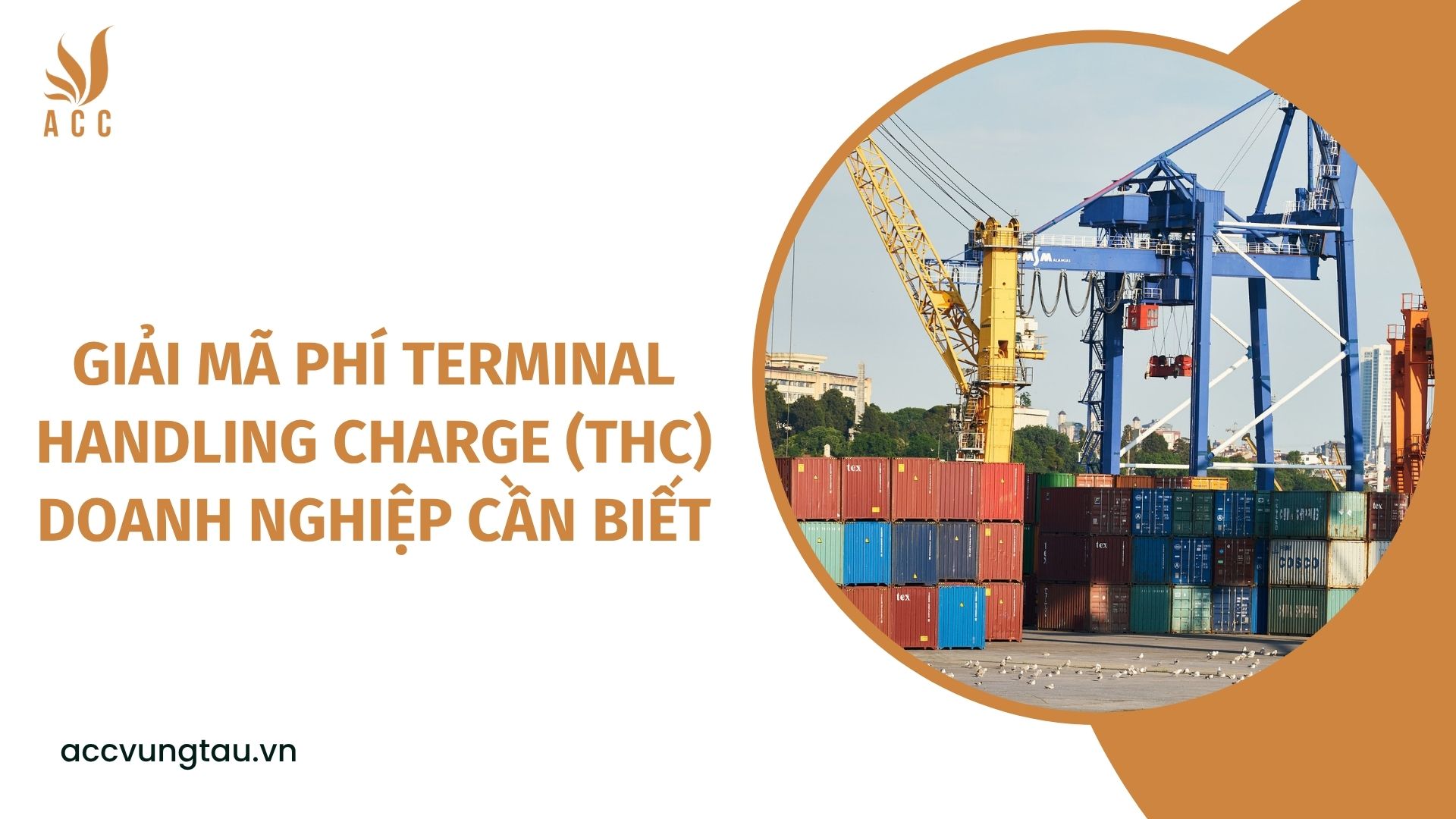 Giải mã phí Terminal Handling Charge (THC) doanh nghiệp cần biết