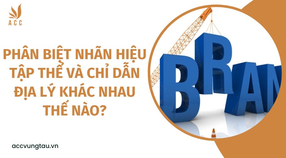Phân biệt nhãn hiệu tập thể và chỉ dẫn địa lý khác nhau thế nào?
