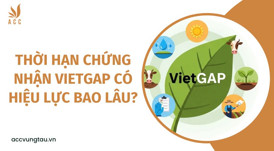 Thời hạn chứng nhận vietgap có hiệu lực bao lâu?