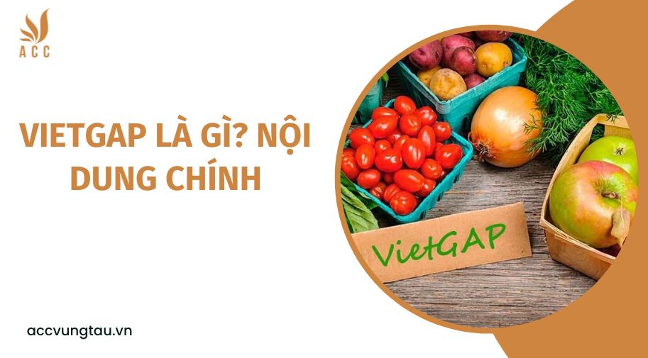 Vietgap là gì? Nội dung chính