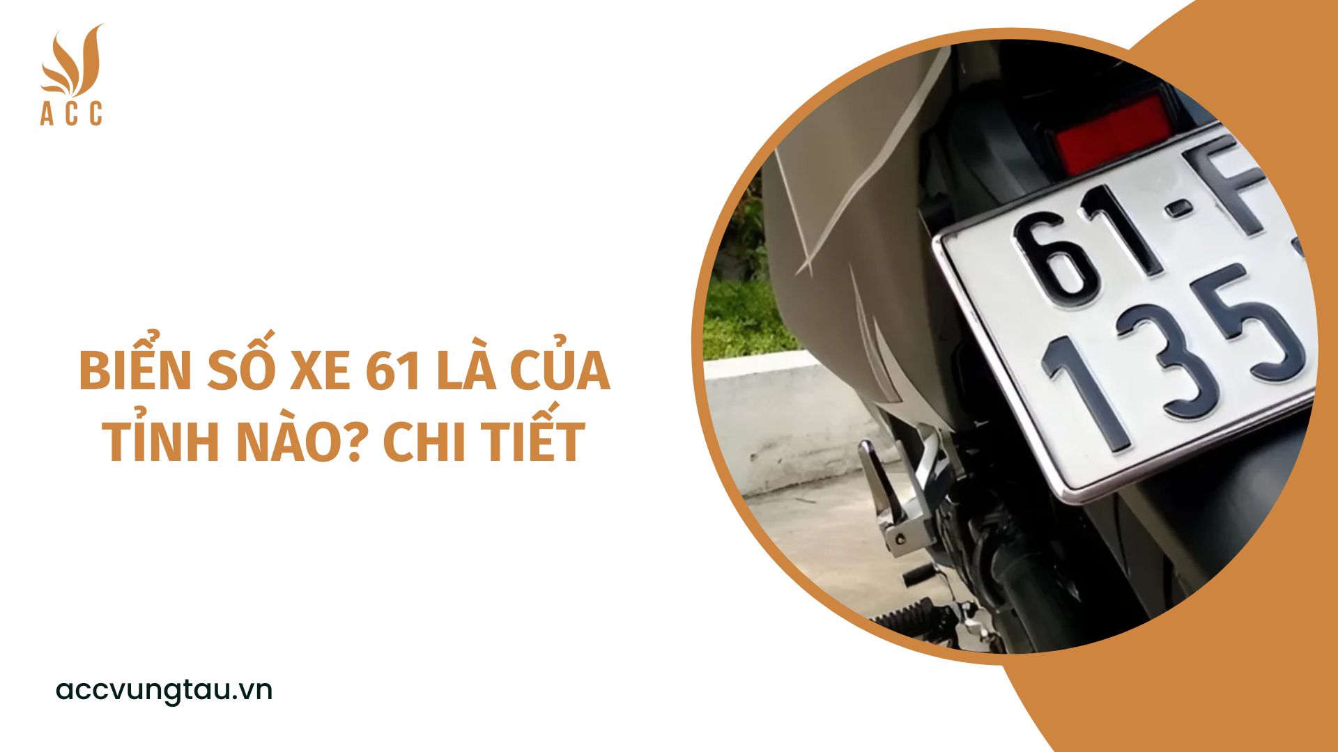 Biển số xe 61 là của tỉnh nào? Chi tiết
