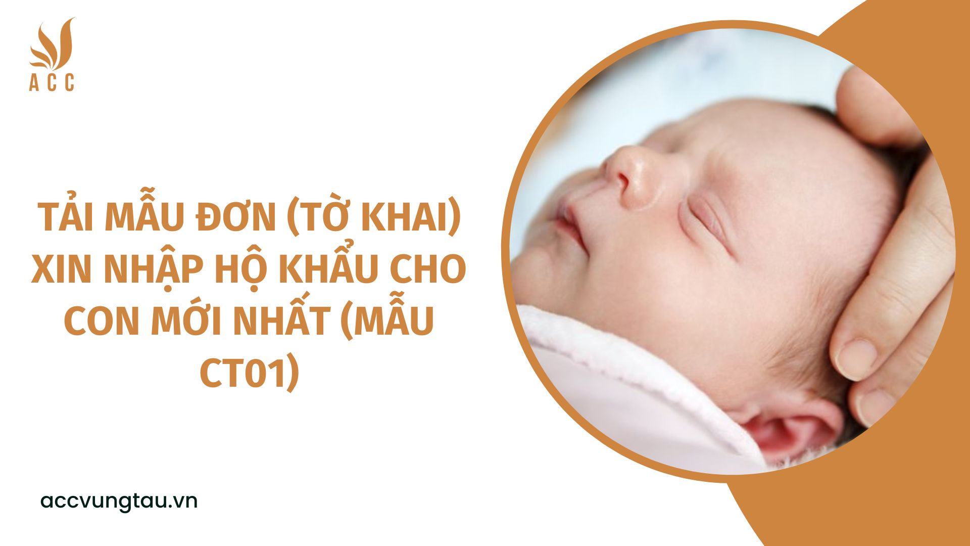 Tải mẫu đơn (Tờ khai) xin nhập hộ khẩu cho con mới nhất (Mẫu CT01)