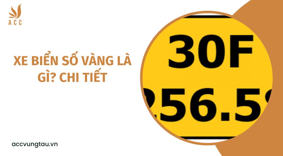 Xe biển số vàng là gì? Chi tiết
